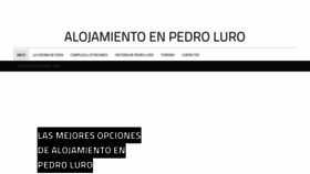 What Pedroluro.com website looked like in 2020 (3 years ago)