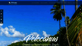 What Pelecanus.com.co website looked like in 2020 (3 years ago)