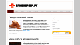 What Pluskirpich.ru website looked like in 2020 (3 years ago)