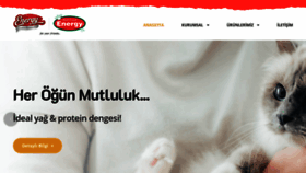 What Petfoodenergy.com website looked like in 2020 (3 years ago)