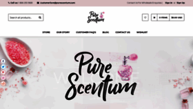 What Puresanctum.com website looked like in 2020 (3 years ago)