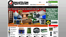 What Pallatts.com website looked like in 2020 (3 years ago)