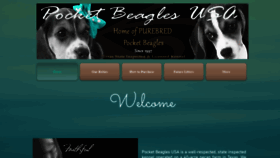 What Pocketbeaglesusa.com website looked like in 2020 (3 years ago)