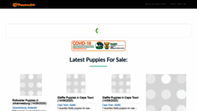 What Puppiesforsale.co.za website looked like in 2020 (3 years ago)
