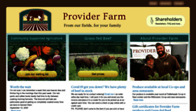 What Providerfarm.com website looked like in 2020 (3 years ago)