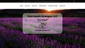 What Peakwealthstrategies.com website looked like in 2020 (3 years ago)