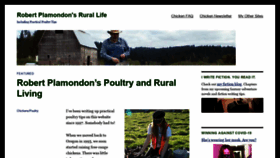 What Plamondon.com website looked like in 2020 (3 years ago)