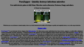 What Parazapper.com website looked like in 2020 (3 years ago)