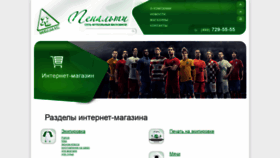 What Penalty.ru website looked like in 2020 (3 years ago)