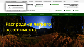 What Palatki66.ru website looked like in 2020 (3 years ago)