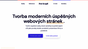 What Petrkvapil.cz website looked like in 2020 (3 years ago)