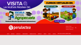 What Perulactea.com website looked like in 2020 (3 years ago)