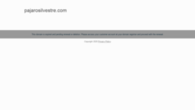 What Pajarosilvestre.com website looked like in 2020 (4 years ago)