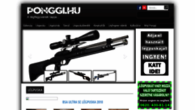 What Ponggi.hu website looked like in 2020 (3 years ago)