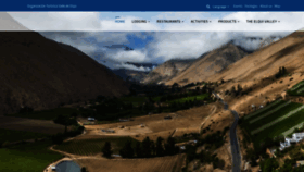 What Piscoelqui.com website looked like in 2020 (4 years ago)