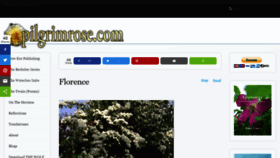 What Pilgrimrose.com website looked like in 2020 (3 years ago)