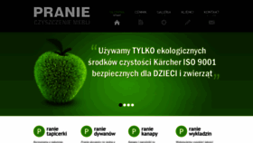 What Pierzemy24.pl website looked like in 2020 (3 years ago)