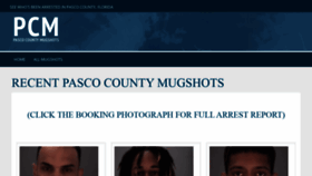 What Pascocountymugshots.com website looked like in 2020 (3 years ago)
