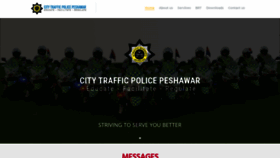 What Ptpkp.gov.pk website looked like in 2020 (3 years ago)