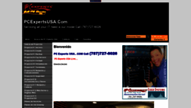 What Pcexpertsusa.com website looked like in 2020 (3 years ago)
