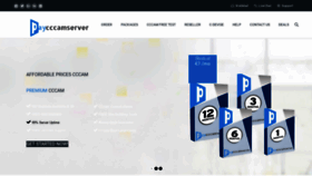What Paycccamserver.com website looked like in 2020 (3 years ago)