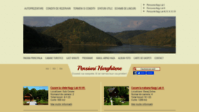 What Pensiuniharghitene.ro website looked like in 2020 (3 years ago)