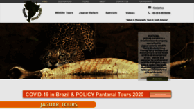 What Pantanaljaguarsafaris.com website looked like in 2020 (3 years ago)