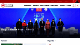 What Pinarbasi.gov.tr website looked like in 2020 (3 years ago)
