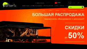 What Panteric.ru website looked like in 2020 (3 years ago)