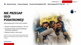 What Pkotfi.pl website looked like in 2020 (4 years ago)