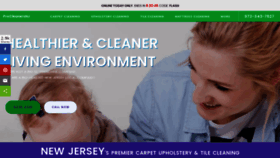 What Procleanersnj.com website looked like in 2020 (3 years ago)