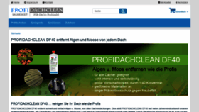 What Profidachclean.de website looked like in 2020 (3 years ago)