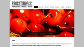 What Procat.ae website looked like in 2020 (3 years ago)