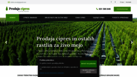 What Prodaja-cipres.com website looked like in 2020 (3 years ago)