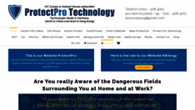 What Protectpro.info website looked like in 2020 (3 years ago)