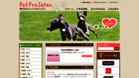 What Petpro.jp website looked like in 2020 (3 years ago)