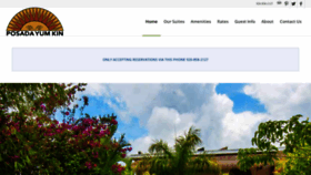 What Pyktulum.com website looked like in 2020 (3 years ago)