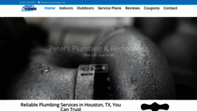 What Petersplumbingtx.com website looked like in 2020 (3 years ago)