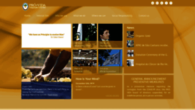 What Provida.net website looked like in 2020 (3 years ago)