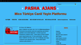 What Pashaajans.com website looked like in 2020 (3 years ago)