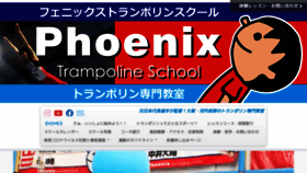 What Phoenix-trampoline.com website looked like in 2020 (3 years ago)