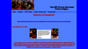 What Pups2pets.net website looked like in 2021 (3 years ago)
