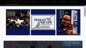 What Pedleysquarevet.com website looked like in 2021 (3 years ago)