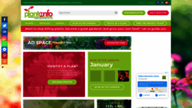 What Plantinfo.co.za website looked like in 2021 (3 years ago)