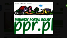 What Ppr.pl website looked like in 2021 (5 years ago)