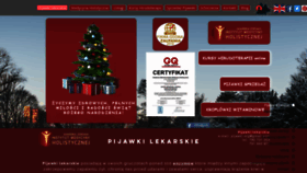What Pijawki.org website looked like in 2021 (3 years ago)