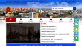 What Pds.gov.cn website looked like in 2021 (3 years ago)
