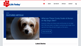 What Petlifetoday.com website looked like in 2021 (3 years ago)