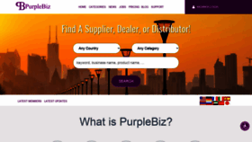 What Purplebiz.net website looked like in 2021 (3 years ago)