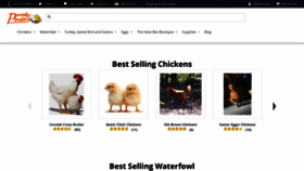 What Purelypoultry.com website looked like in 2021 (3 years ago)